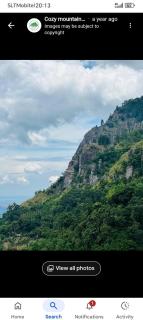 Cheeky Mango Ella - 3