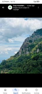 Cheeky Mango Ella - 1