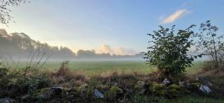 To Hytter Med Private Haver I Torhamn - 1