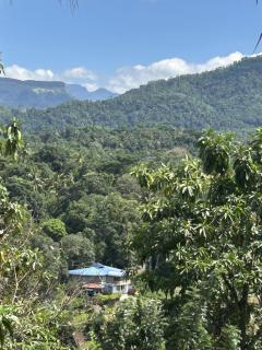 Breez Holiday Home - 5