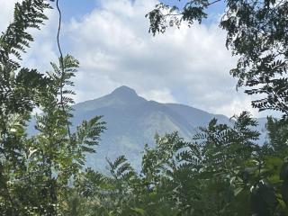 Breez Holiday Home - 4