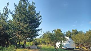 Refugio Silvestre Parque Nacional Siete Tazas-Salida a río y pesca - 4