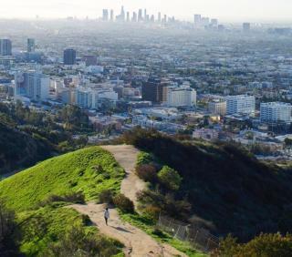 Hollywood Luxury Pent house - Los Angeles - 3