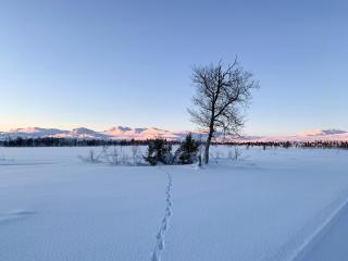 Cozy Cabin With Fantastic Mountain Views In Oppheimåsen - 2