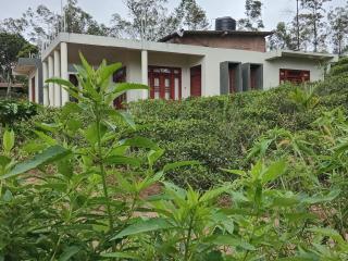 Yemi Bungalow Ella - 8