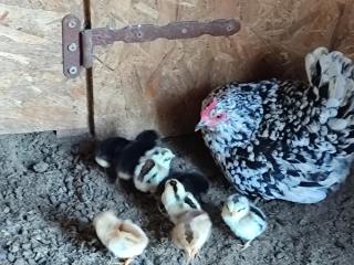 oneiropagidasuites - 9