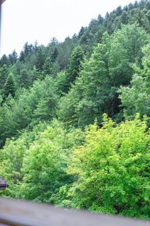 Sci a 10 Min! Chalet in Legno, Roccaraso Centro - 2