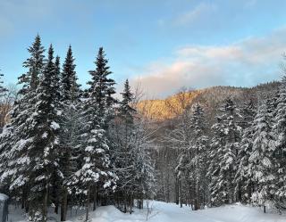 Chalet Le St-Ray - 3