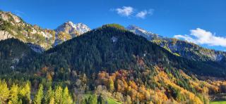 Top Appartements - 9