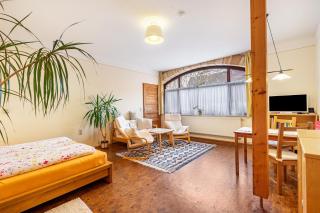 Gemütliches Apartment In Lohmen - 0