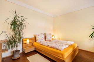 Gemütliches Apartment In Lohmen - 4