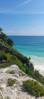 Rivera Maya Tulum - 0