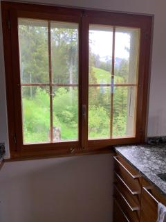 Crans-Montana Chalet dans la nature ski in ski out - 4