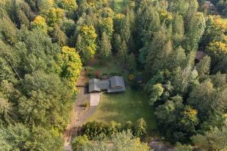 Mountain Morning - Wildwood - 4