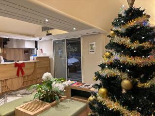 Hotel Boréal Nice - Nice - 9