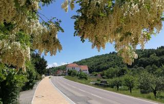 Charmante Zollhaus-Wohnung - 2 bis 3 Gäste nähe Schweiz - 3
