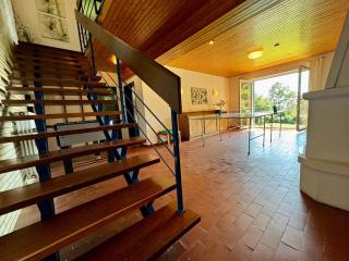 Alpenblick-Hotzenwald - 4