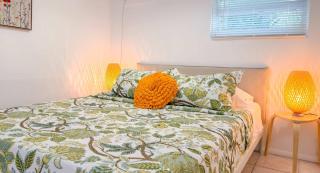 Later Gator - Pool - Canal - Wilton Drive - 1