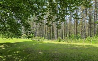 Rural House in Igorre with Garden for 8 Guests - 1