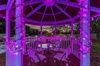 Tropical Oasis | Pet-Friendly + Pool | Clearwater - 1