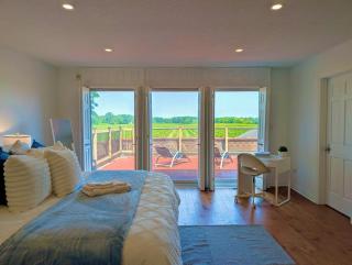 Nestled among endless vineyards - 3