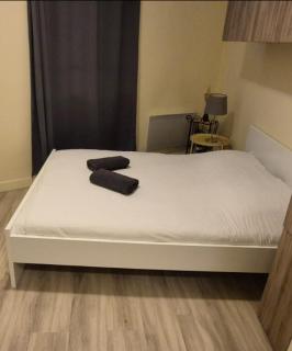 LE SPLENDID - Hypercentre - Proche Opéra & Parcs - Thermes - 6