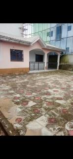 Villa de luxe LE HAVRE DE JOIE ET DE PAIX 300m2 de superficie Wifi illimité forage et grande cour pour garer plusieurs voitures ou organisation celebrations - 0