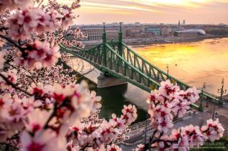 GOZSDU DREAM APT LUXURY 3 DOUBLE BED BUD CENTRe - 1