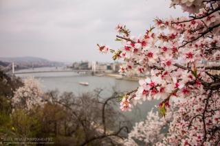 GOZSDU DREAM APT LUXURY 3 DOUBLE BED BUD CENTRe - 4