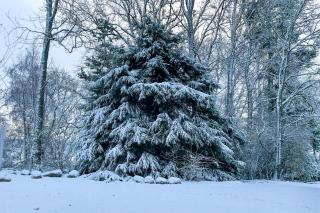 2 Bed in Invergordon oc-c33073 - 8