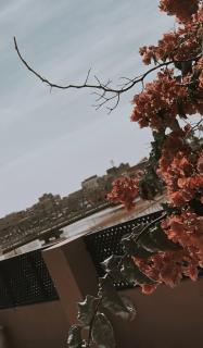 Studio à Saint Louis - 1