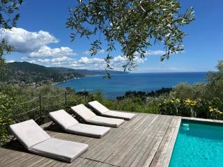 CHARMING APARTMENT VILLA WITH POOL 010-46-cav-0009 - Rapallo - 0