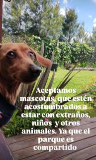 ELLA CON El MAR - 4