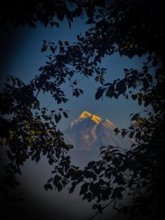 The Rawscape hostel - 5