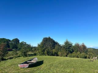 House with marvelous view in Frutillar - 5