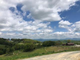 Evergreen at Eagles Nest - 3