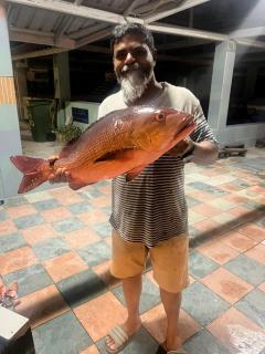 Velidhoo Inn - 6