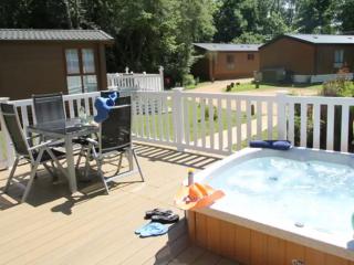 Merley Woodland Signature 3 Lodge with Hot Tub - 6