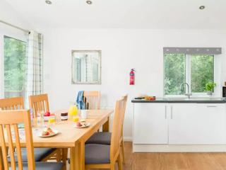 Merley Woodland Signature 3 Lodge with Hot Tub - 3