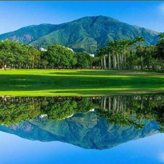 Comfortable Apartment Los Chorros Caracas - 6