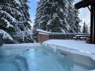 chalet clémentine - 0