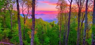 Heritage Lodge at Eagles Nest - 8