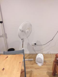 Guest house in rear garden - 1