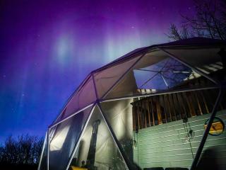 Altis at 350 Farms - 3