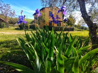 Agriturismo La fonte - 6