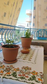 Elena's Beautiful Apartments - 3