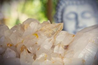 Andesenios Los Esenios de los Andes - 5