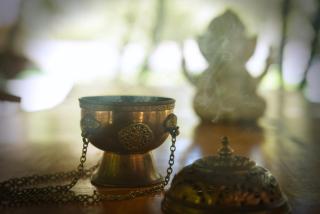 Andesenios Los Esenios de los Andes - 3