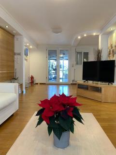 Dafni Athens loft - 8