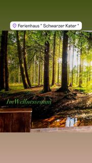 Ferienhaus Schwarzer Kater - 7